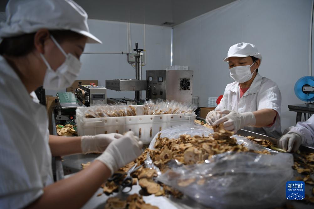 澳门新匍京网址95600
